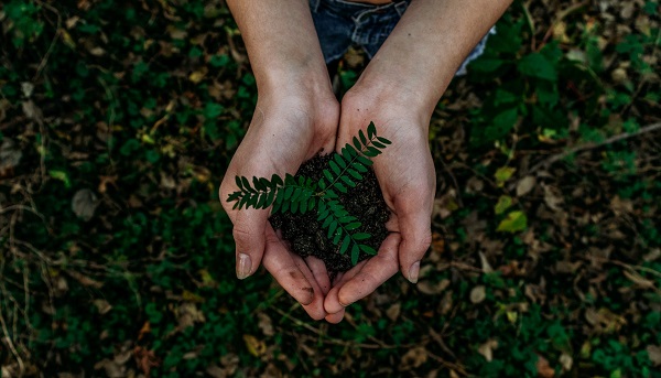 World Environment Day - It's Time You Pay Heed to the Warning Signals
