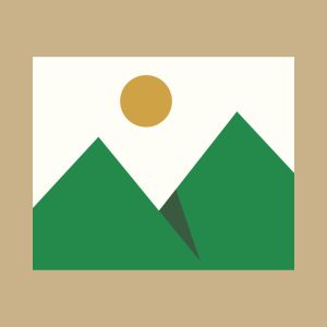 test auction emily qa multiple #so 00009